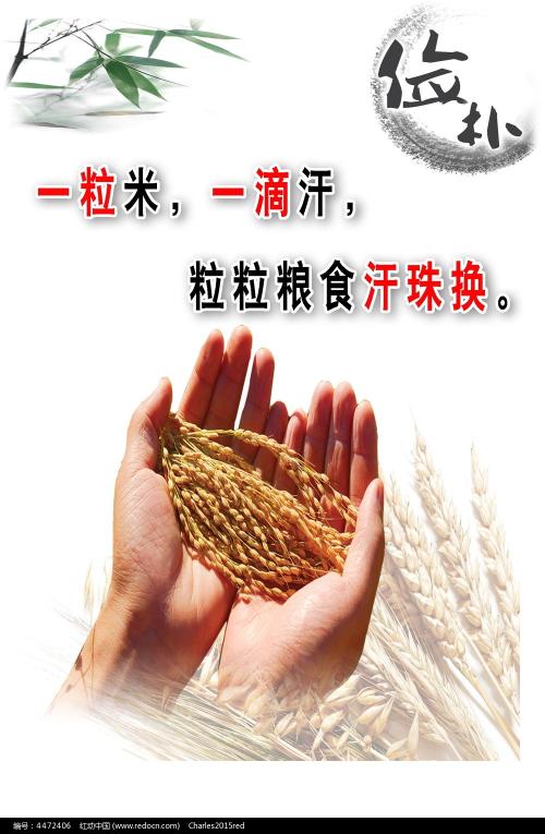 综合理工大学文凭毕业证样本照片